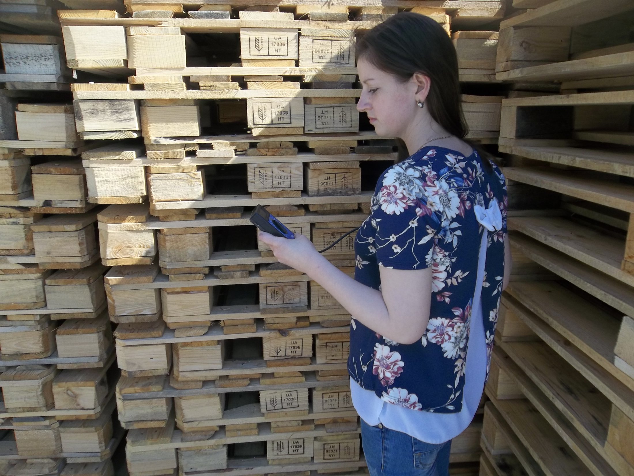 2 квартал 2017