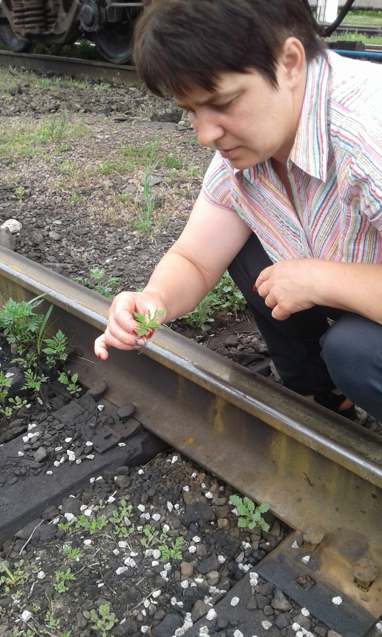 2 квартал 2017