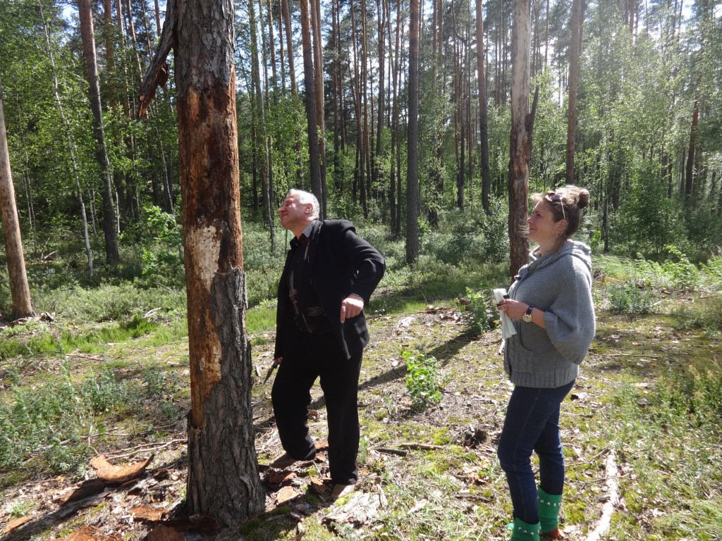 2 квартал 2017