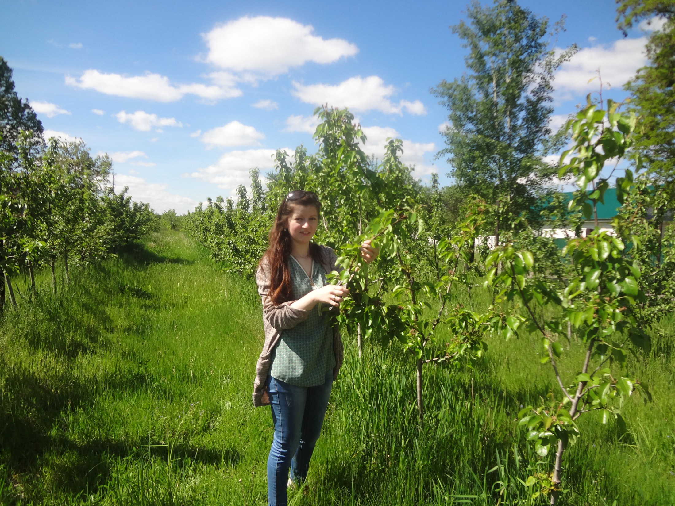 2 квартал 2017